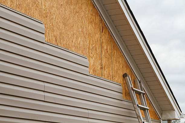 Professional Wood Siding technician working in Rushville, IL